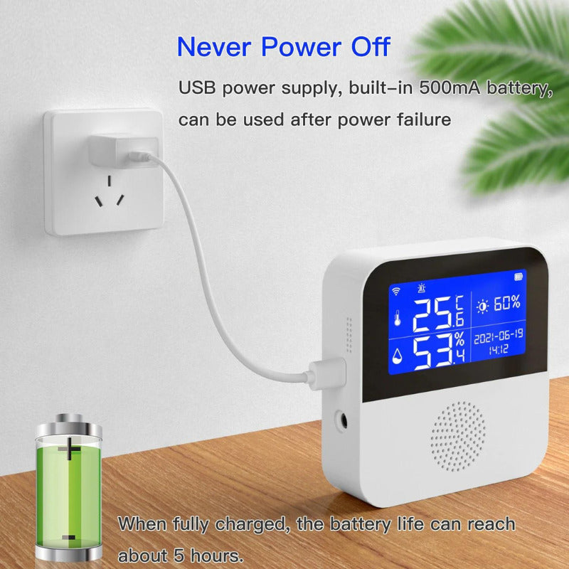 Termostat de camera inteligent WiFi, temperatura si umiditate, display LCD 2.9inch